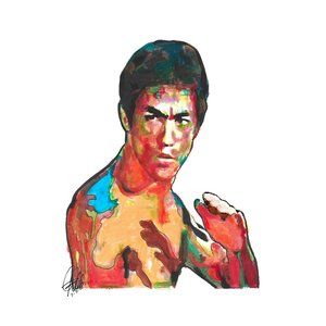 Bruce Lee Green Hornet Kato Martial Arts Karate Poster Print Wall Art 11x17